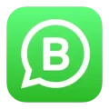 whatsapp-business-256